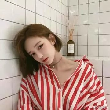 飞燕惊鸿